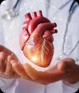 Cardiology