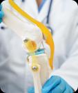 Orthopedics, Joint Replacement & Sports
Injury